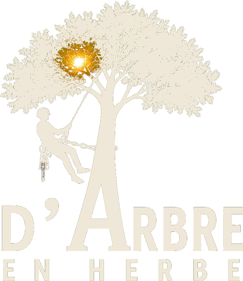 D'Arbre en Herbe — élagage, démontage, abattage à Bergerac